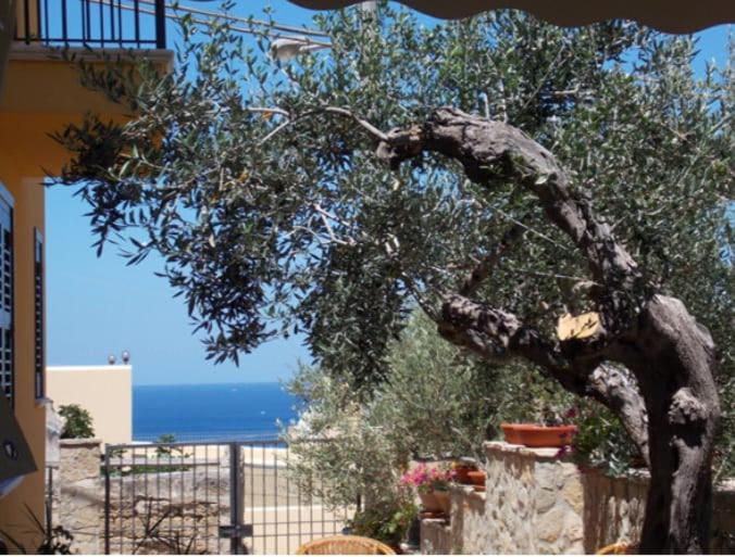 Modus B&B San Vito Lo Capo Kültér fotó