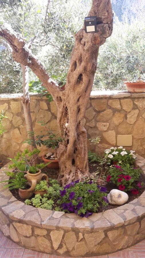 Modus B&B San Vito Lo Capo Kültér fotó