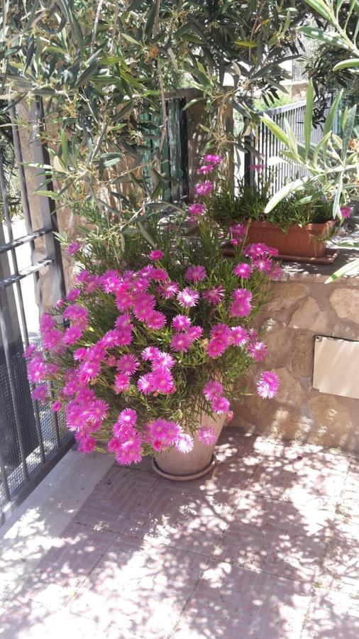 Modus B&B San Vito Lo Capo Kültér fotó
