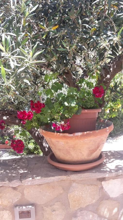 Modus B&B San Vito Lo Capo Kültér fotó